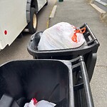 Trash/Recycling at 5 Irving St