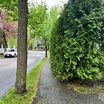 Sidewalk Obstruction at 42.33 N 71.16 W