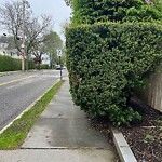 Sidewalk Obstruction at 42.33 N 71.16 W