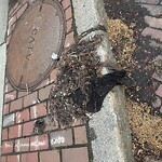 Water and Sewer at Walter's Jewelry, 236 Harvard St, Brookline 02446