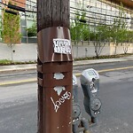 Graffiti at 22 Tappan St