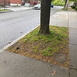 Damaged Sign at 18 Williston Rd