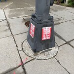 Graffiti at 1842 Beacon St