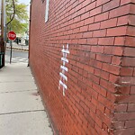 Graffiti at 2–62 University Rd