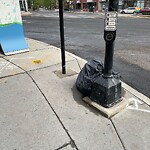 Trash/Recycling at 42.339N 71.135W