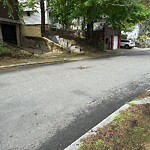 Dead Animals at 135 Winthrop Rd