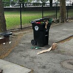 Trash/Recycling at 42.33 N 71.12 W
