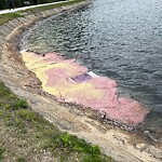 Water and Sewer at 42.33 N 71.13 W
