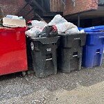 Trash/Recycling at 16 Winchester St