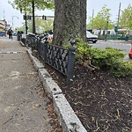 Sidewalk Repair at 1615 Beacon St