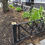 Sidewalk Repair at 1356 Beacon St