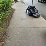 Trash/Recycling at 234–298 Freeman St