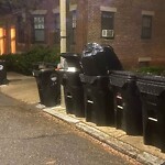 Trash/Recycling at 49 Alton Pl