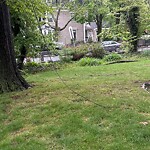 Other at 295–309 Walnut St