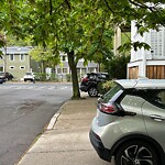 Parking Ticket at 117 Franklin St
