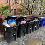 Trash/Recycling at 45 Carlton St
