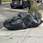 Trash/Recycling at 1051 Beacon St