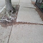 Sidewalk Obstruction at 75 St Paul St