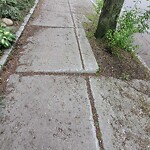 Sidewalk Repair at 98 St Paul St