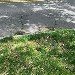 Pothole at 50 Sumner Rd