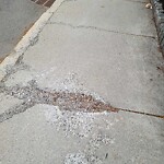 Sidewalk Repair at 173 Longwood Ave