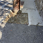 Sidewalk Repair at Warren St
