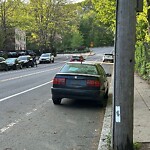 Parking Ticket at 203 Chestnut St
