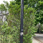 Graffiti at 184 Aspinwall Ave