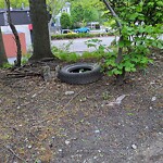 Trash/Recycling at 487 Harvard St