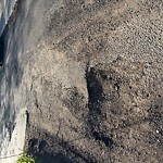 Pothole at 11 Claflin Path