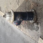 Water and Sewer at 690 Washington St