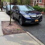 Parking Issues at 224 Rawson Rd