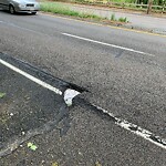 Pothole at 209 Newton St