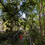 Sidewalk Obstruction at 227 Mason Terrace