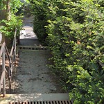 Sidewalk Obstruction at 170 Winchester St