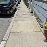 Sidewalk Obstruction at 67 Franklin St