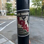 Graffiti at 10 Lancaster Terr