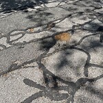 Pothole at 152–154 Heath St, Chestnut Hill
