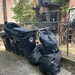 Trash/Recycling at 1023 Beacon St