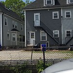 Rodent Issues at 20 Winslow Rd