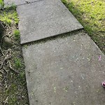 Sidewalk Repair at 204 Lancaster Terr