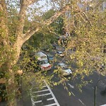 Other at 364 Harvard St, Brookline 02446