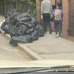 Trash/Recycling at 7 Still St