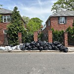 Trash/Recycling at 46–68 Browne St