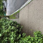 Sidewalk Obstruction at 45–117 Mason Terr, Brookline 02446