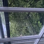 Trash/Recycling at 2–32 Pleasant St, Brookline 02446
