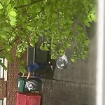 Trash/Recycling at 2–32 Pleasant St, Brookline 02446