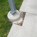 Sidewalk Repair at 1001 44 Washington St