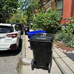 Trash/Recycling at 19 Netherlands Rd