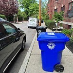 Trash/Recycling at 11 Netherlands Rd